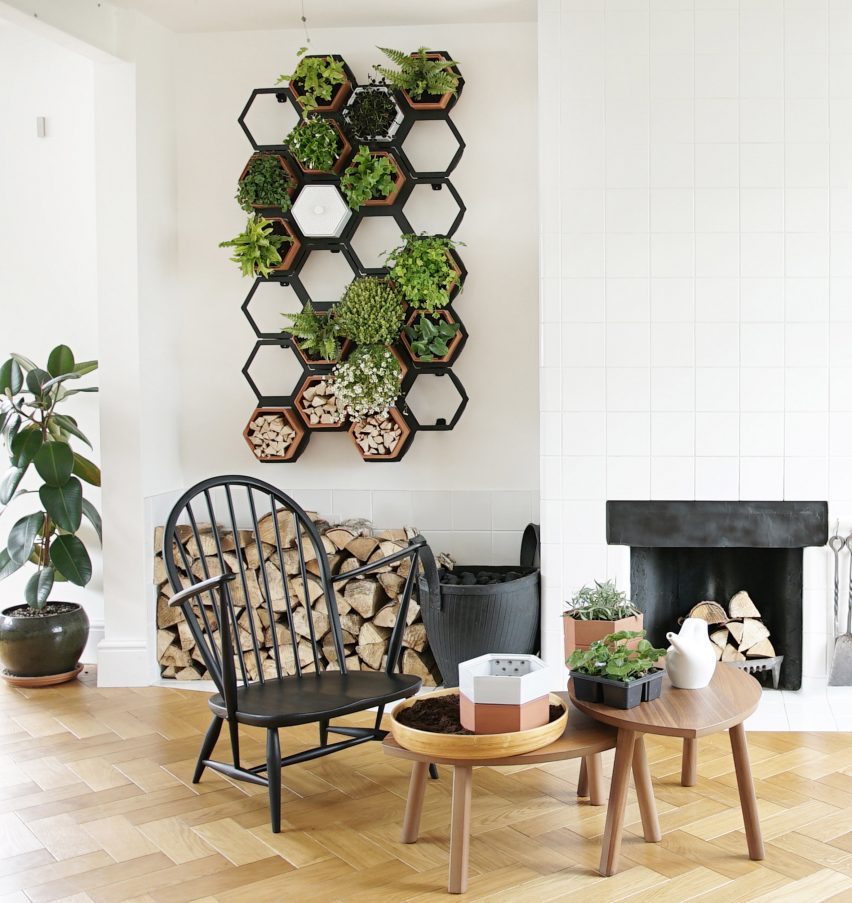Horticus creates modular indoor living wall