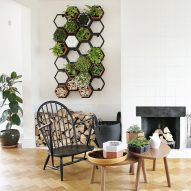 Horticus creates modular indoor living wall