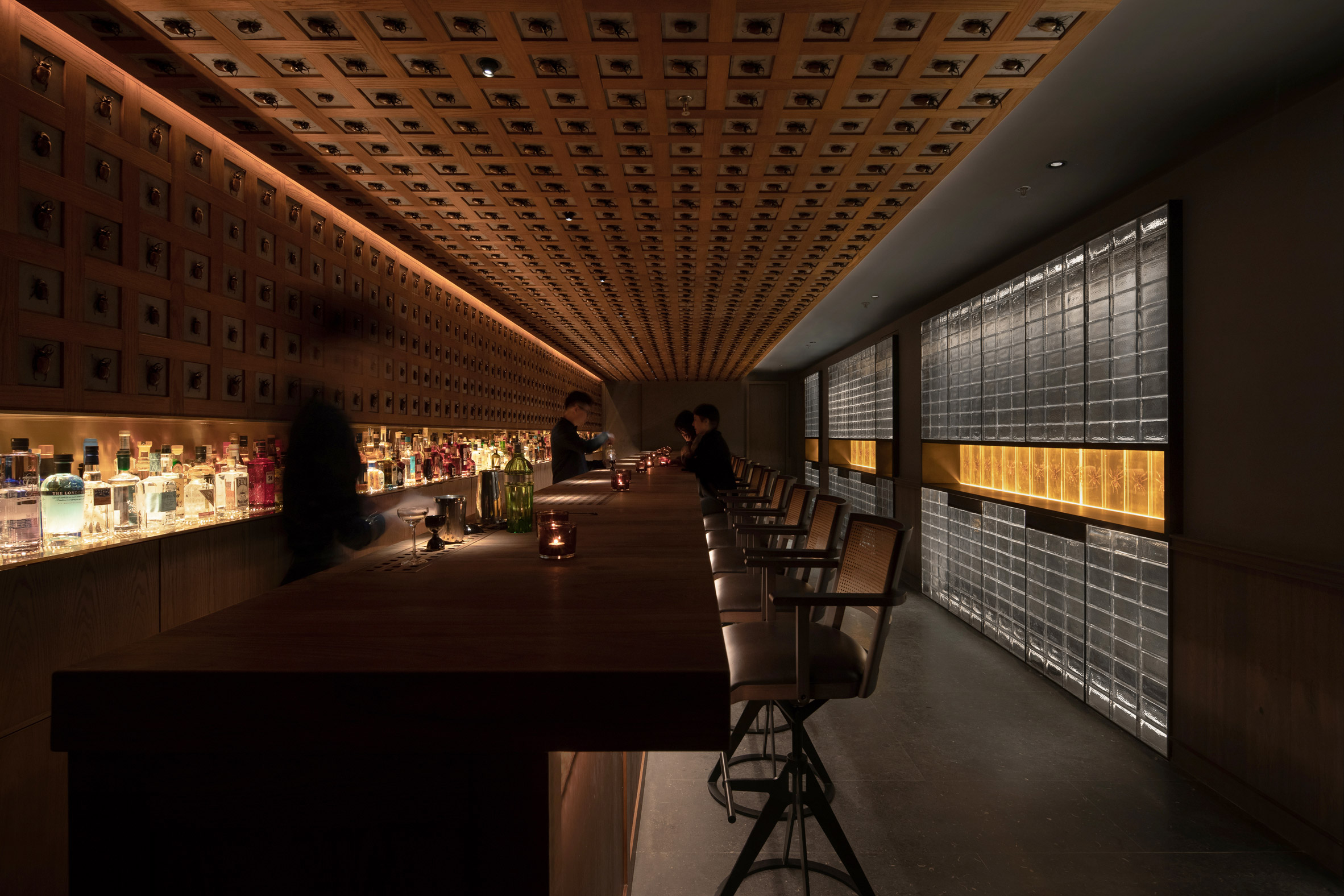 Beetles cover the walls and ceiling of J Boroski bar in Shanghai by Atelier XY
