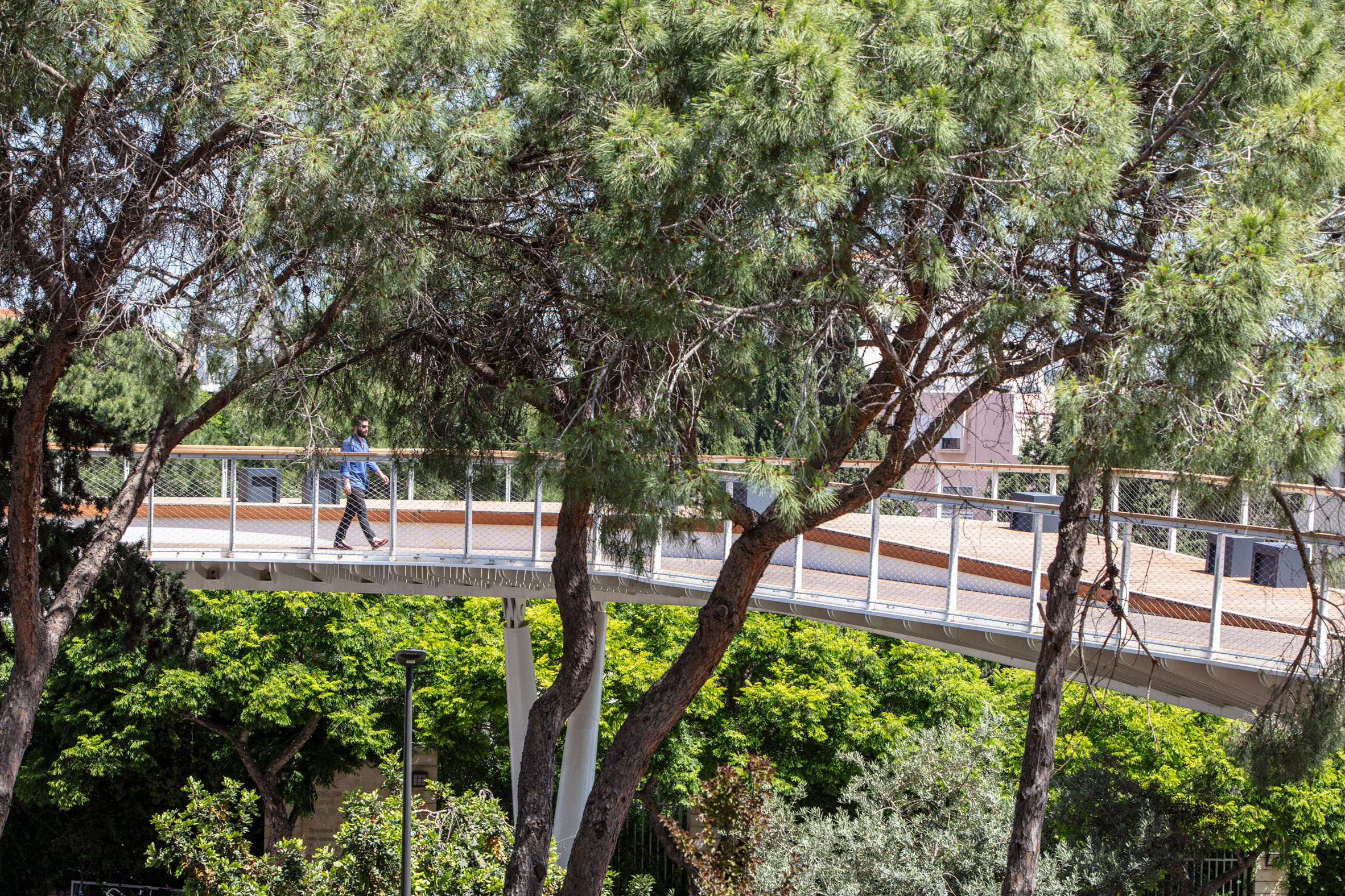 Eye-level view of the Technion Entrance Gate bridge amongst the trees