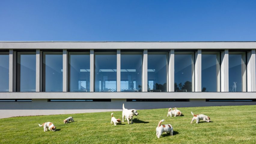Hotel for cats and dogs in Portugal