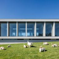 Raulino Silva Arquitecto designs a hotel for cats and dogs in Portugal