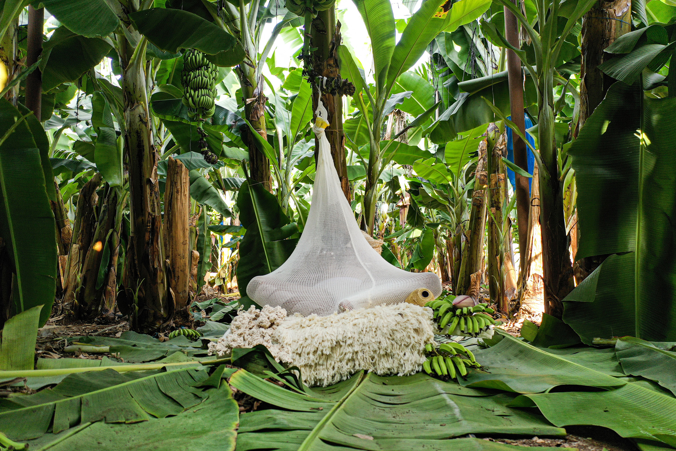 Erez Nevi Pana designs human "cocoons" from banana plants for Tropical Milan installation