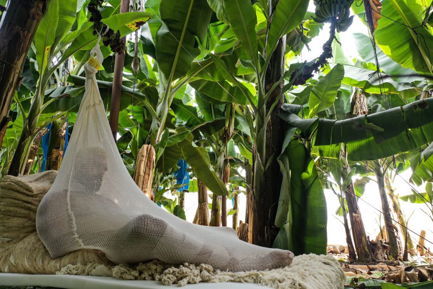 Erez Nevi Pana designs human "cocoons" from banana plants for Tropical Milan installation
