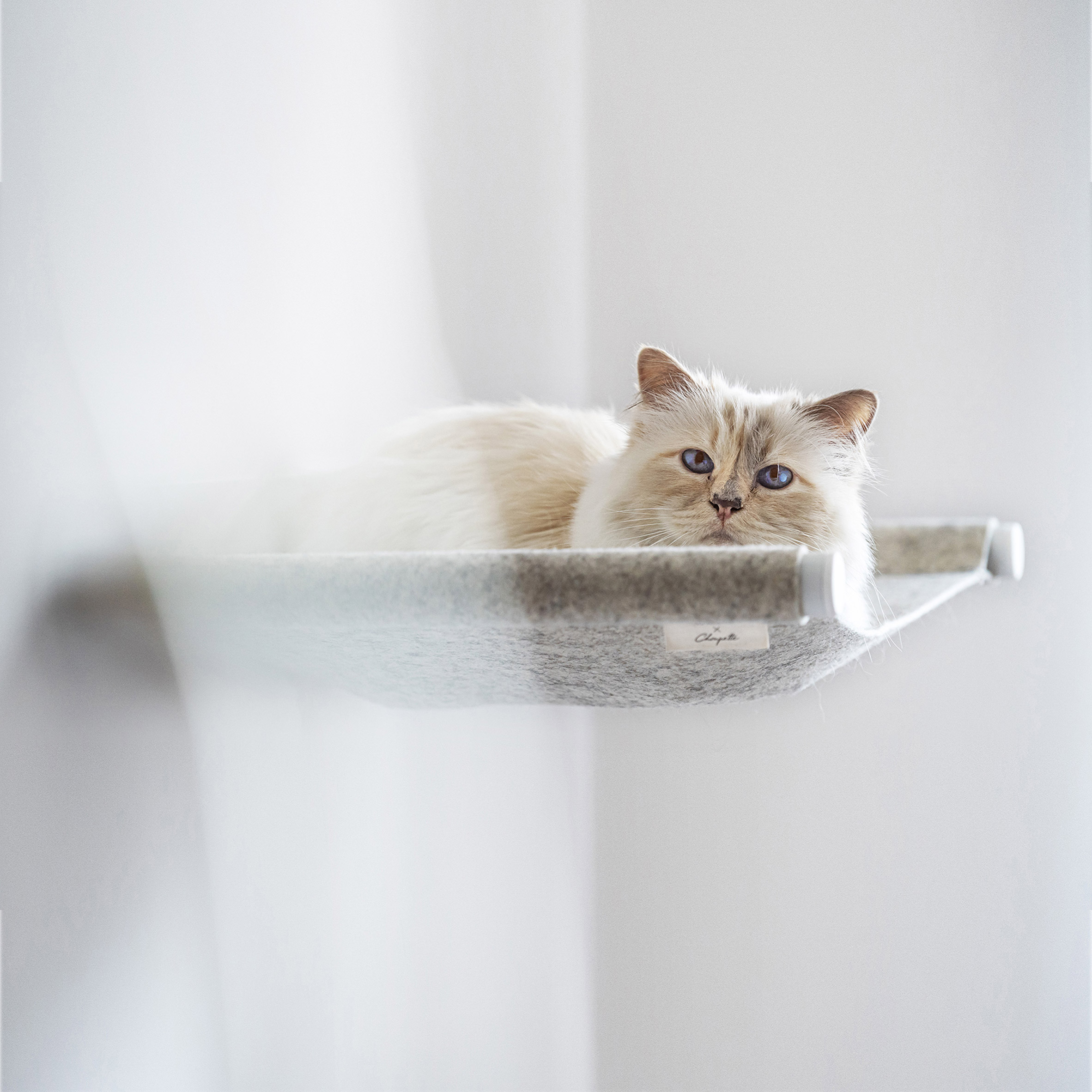 Swing cat bed by Choupette the cat and German pet furniture designers LucyBalu
