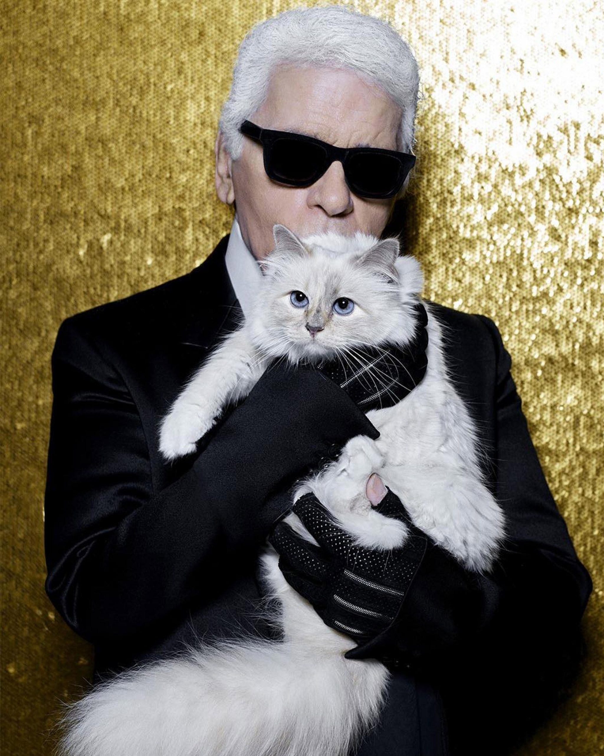Choupette was the beloved cat of the late fashion designer Karl Lagerfeld
