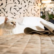 Choupette inspects Swing bed by LucyBalu before it is assembled