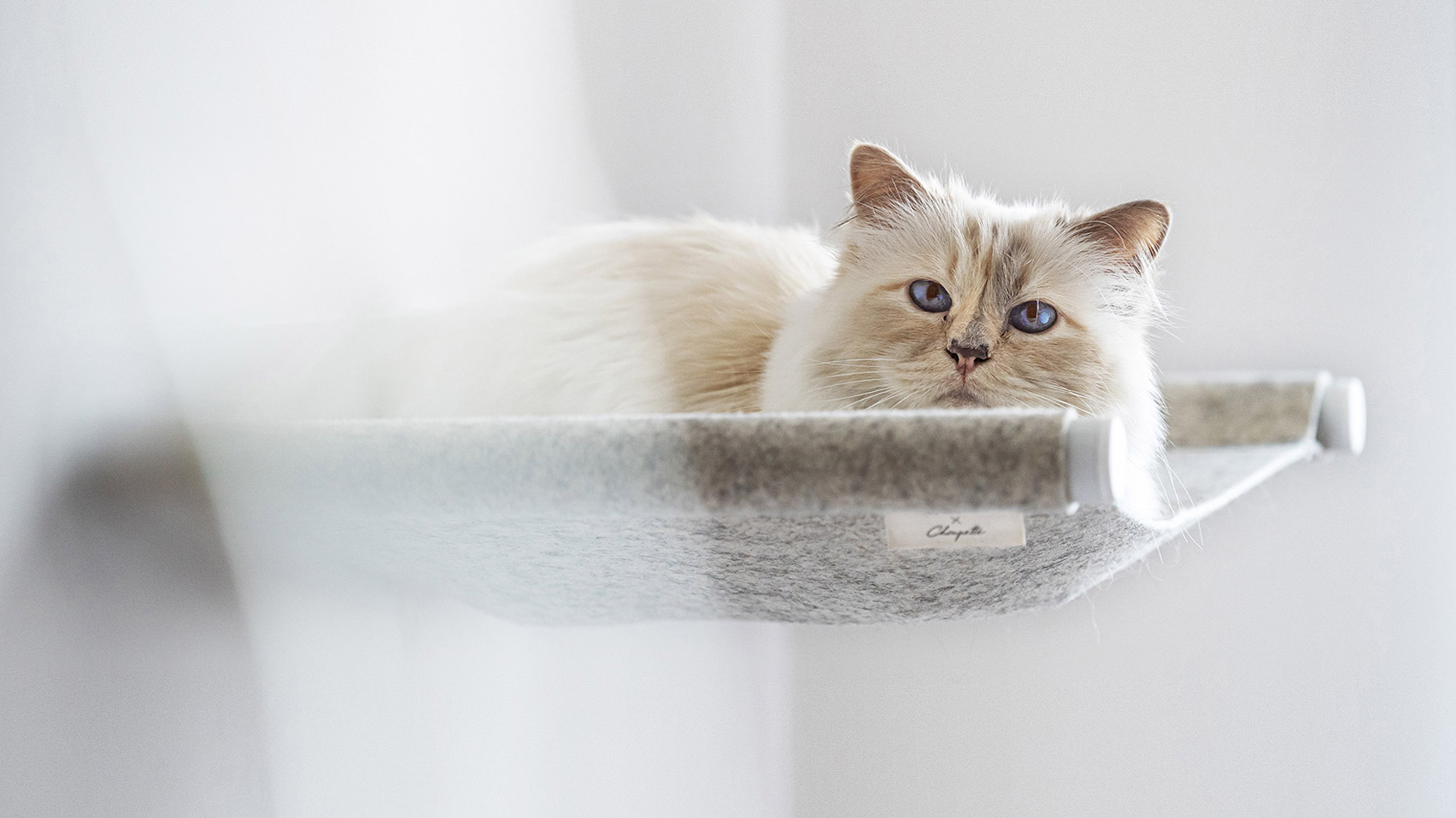 Choupette models the Swing hammock bed by LucyBalu