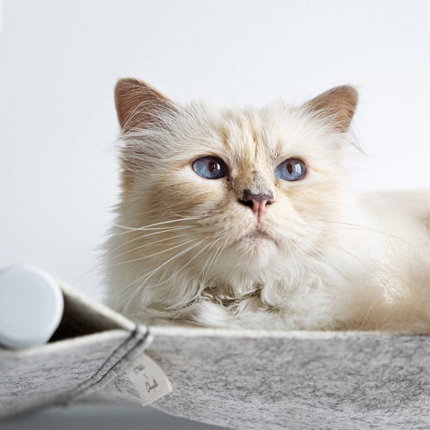 A cat bed launched in collaboration with Karl Lagerfeld's pet features in today's Dezeen Weekly newsletter