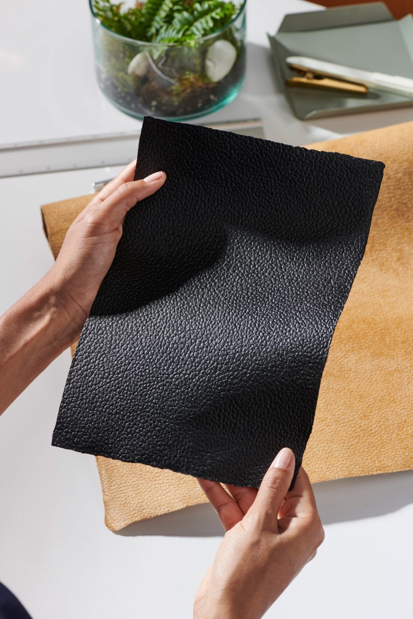 🍄 Would you buy a MUSHROOM leather bag? 🍄 Hermes/ Stella