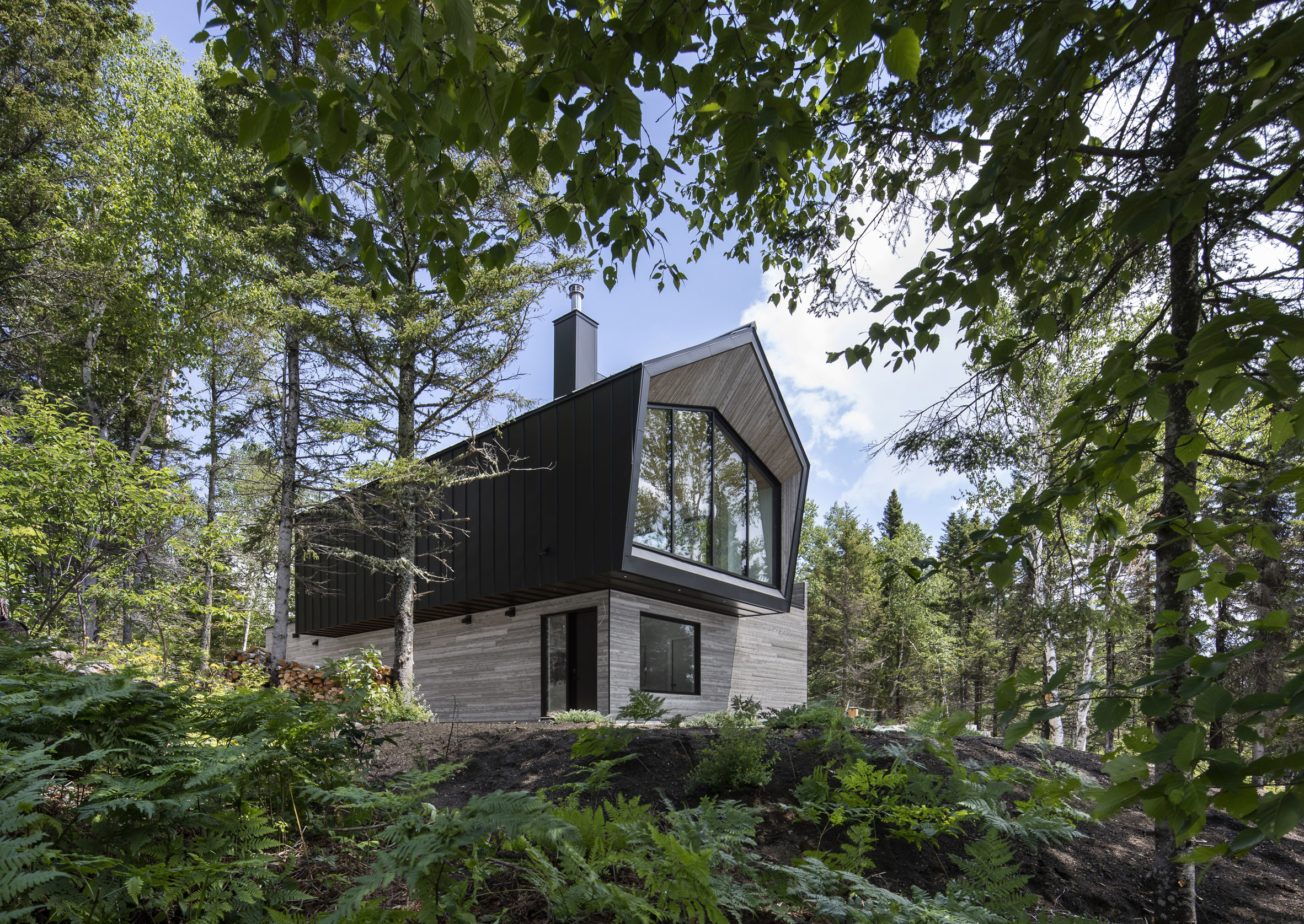 Forest around Le Littoral by Architecture 49