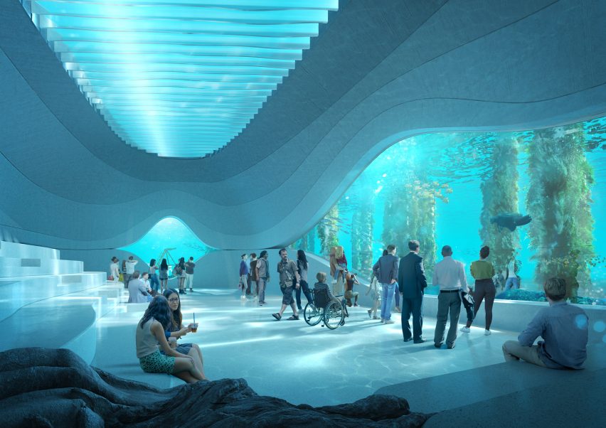 The marine observatory in Australian Underwater Discovery Centre by Baca Architects