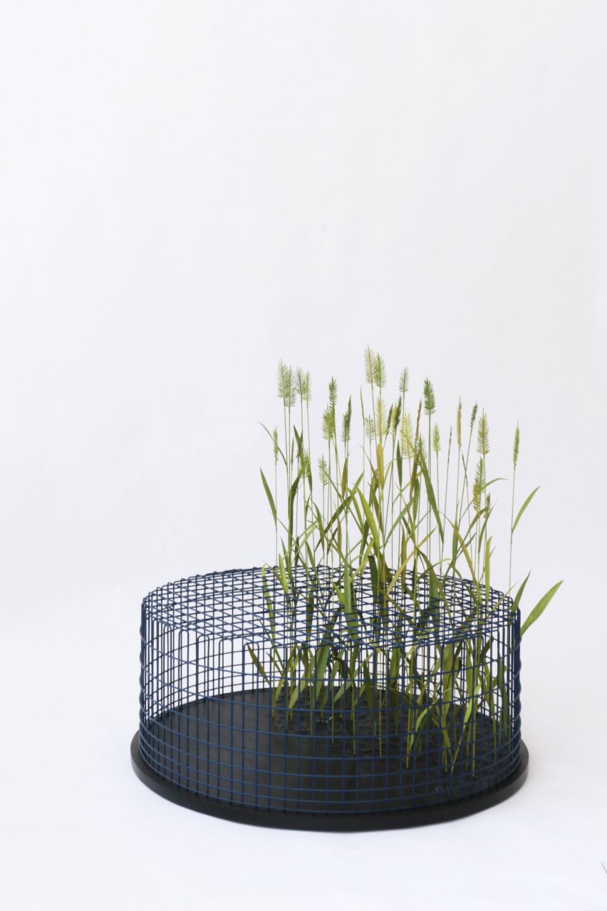 Limited Grasses by mischer'traxler studio from Split Personality exhibition at Friedman Benda