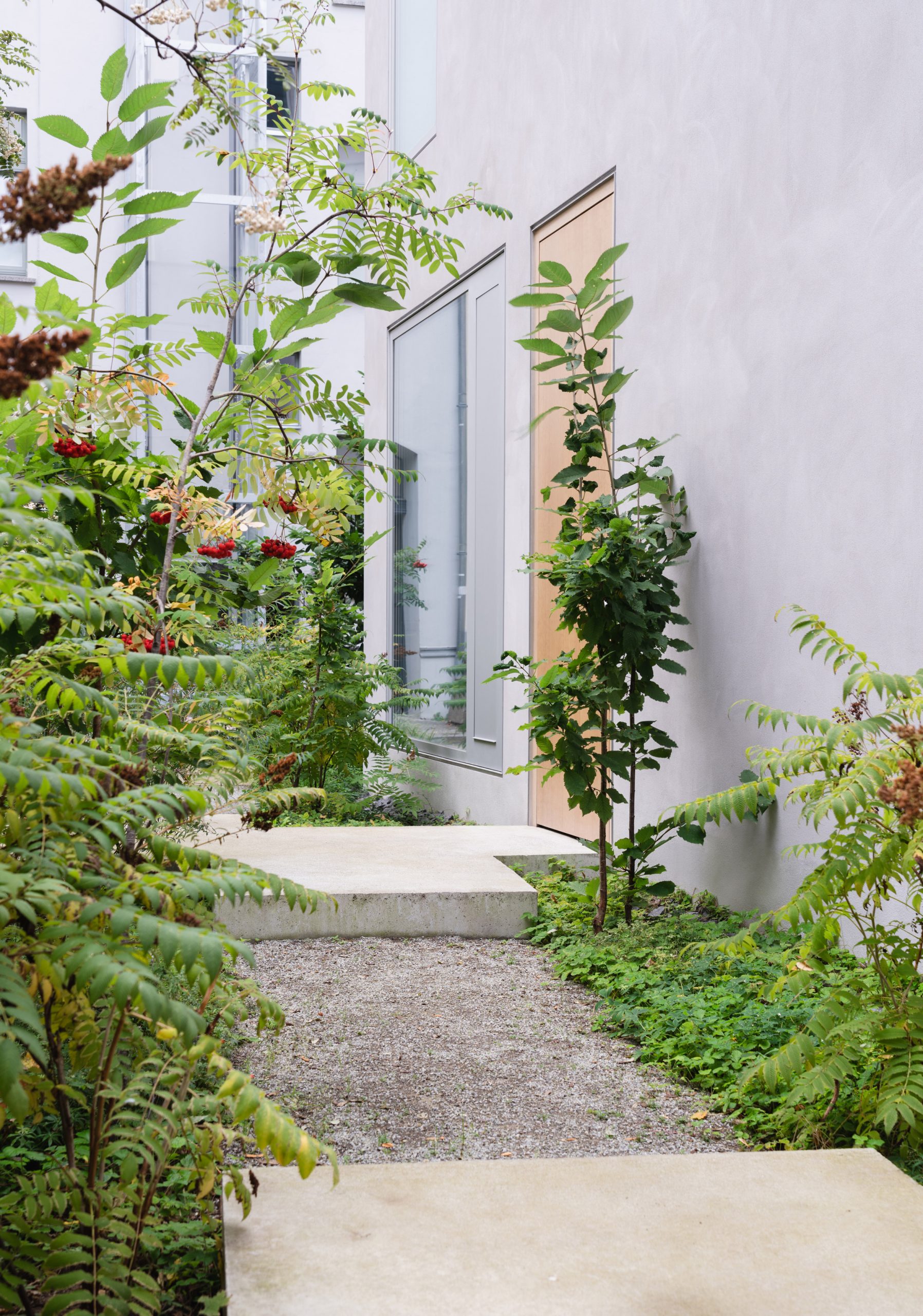 Greenery surrounds the paths into the home
