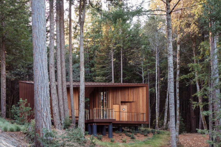 Timber pavilion in California forest