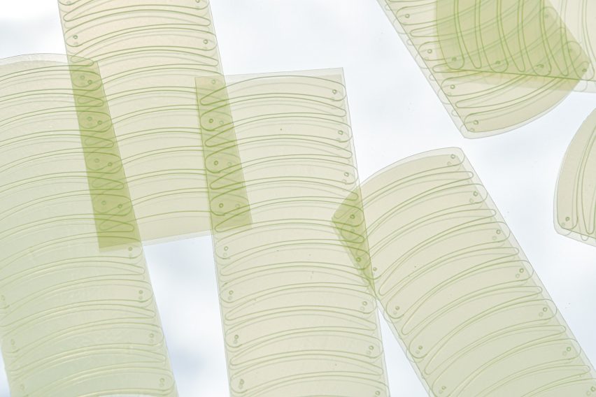 Strips of algae bioplastic sequins by Charlotte McCurdy