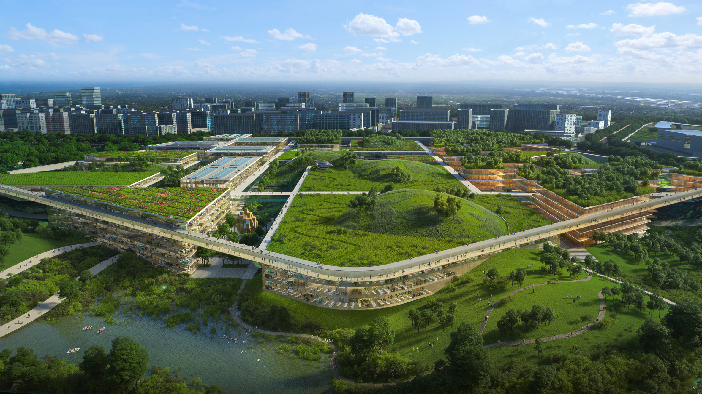A visual of green-roofed buildings by OMA for a site in Chengdu
