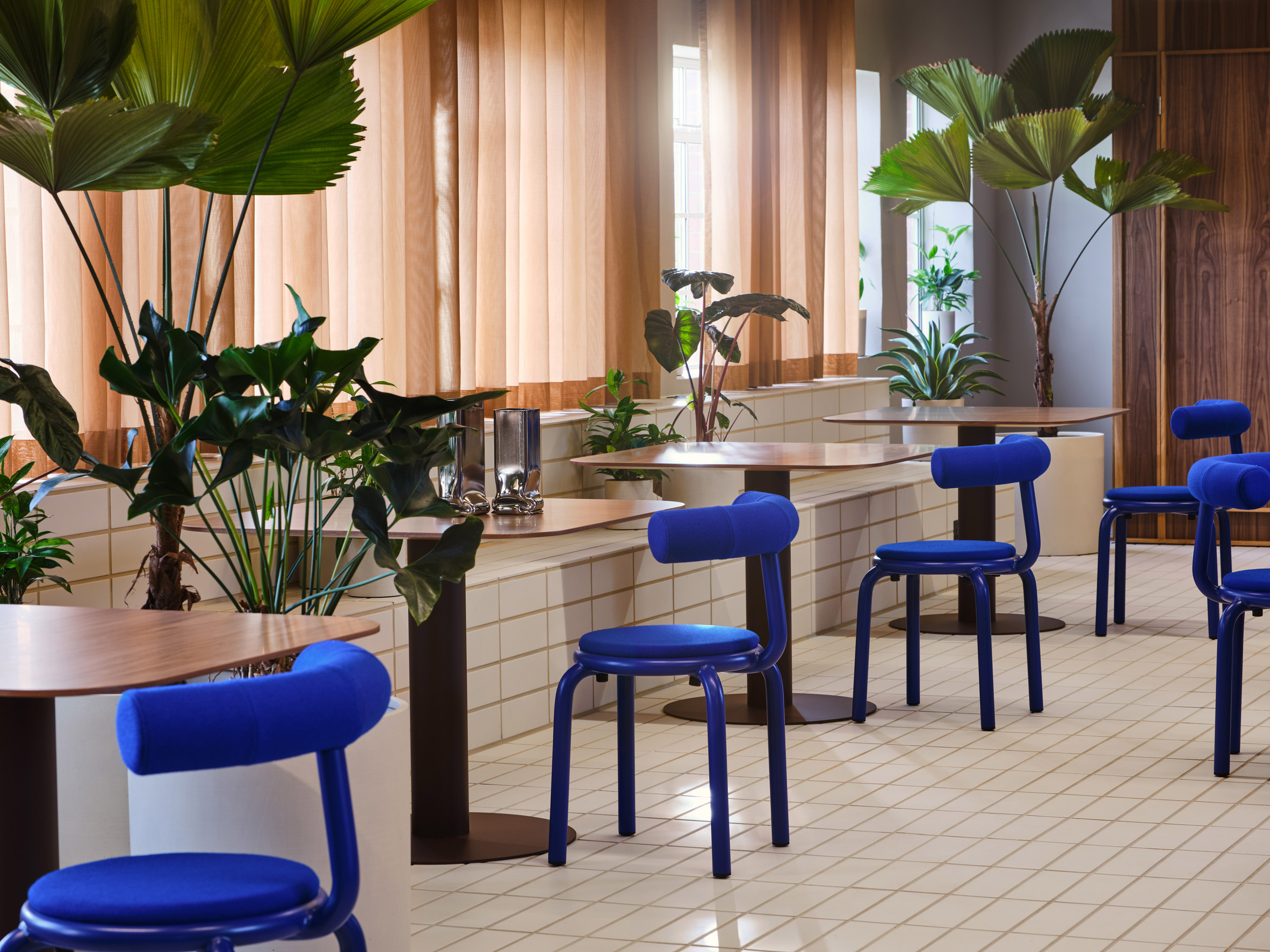 Tiled floor with klein blue chairs and plants in Douglas House