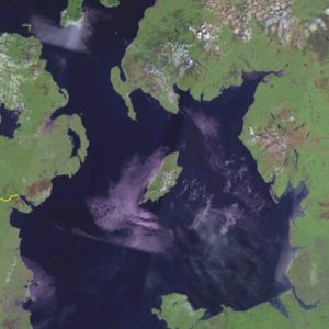 男人岛的卫星图像