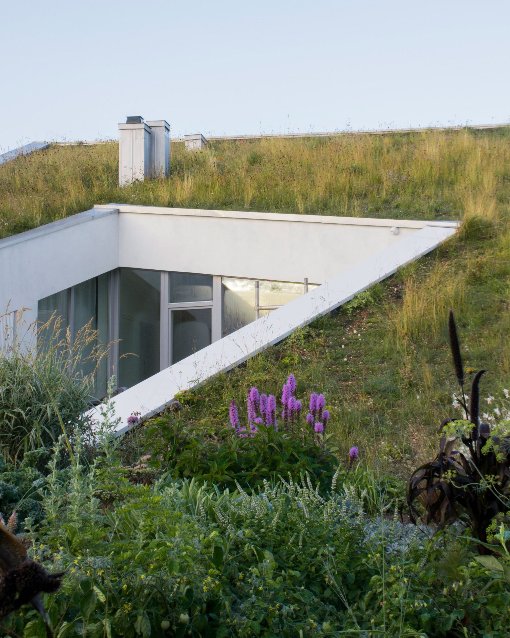 House and the River by After Party green roof