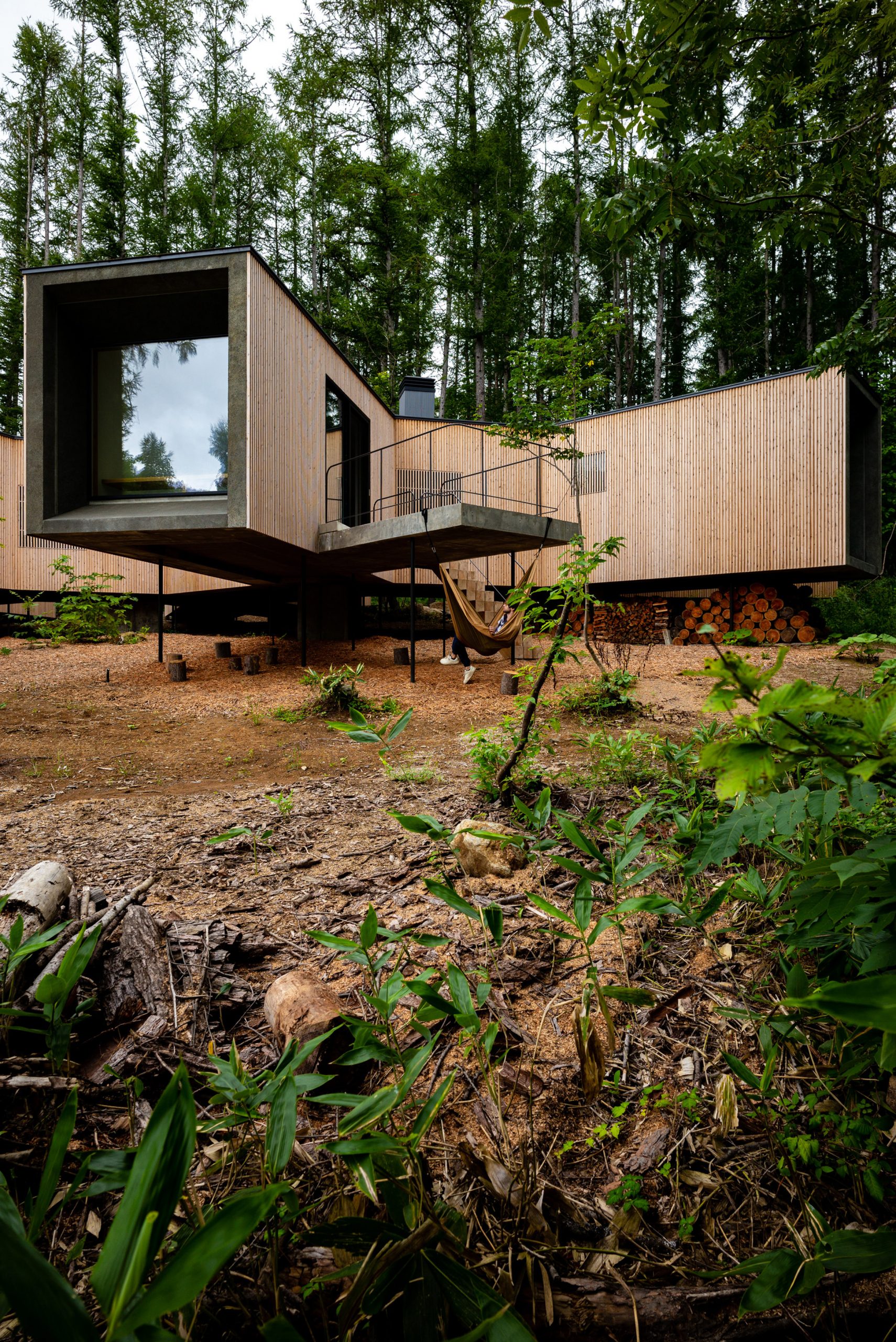 The home sits on steel stilts atop of the sloped terrain