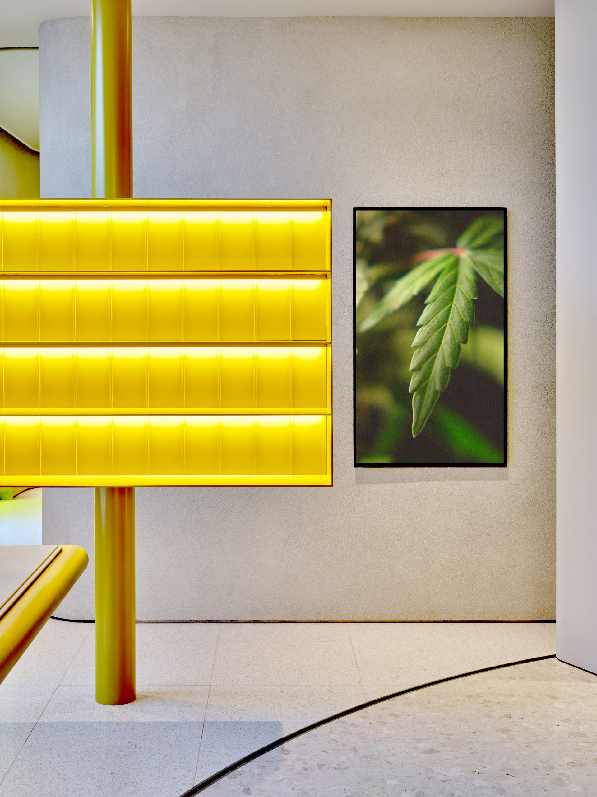 Yellow resin display shelves in Canadian cannabis shop