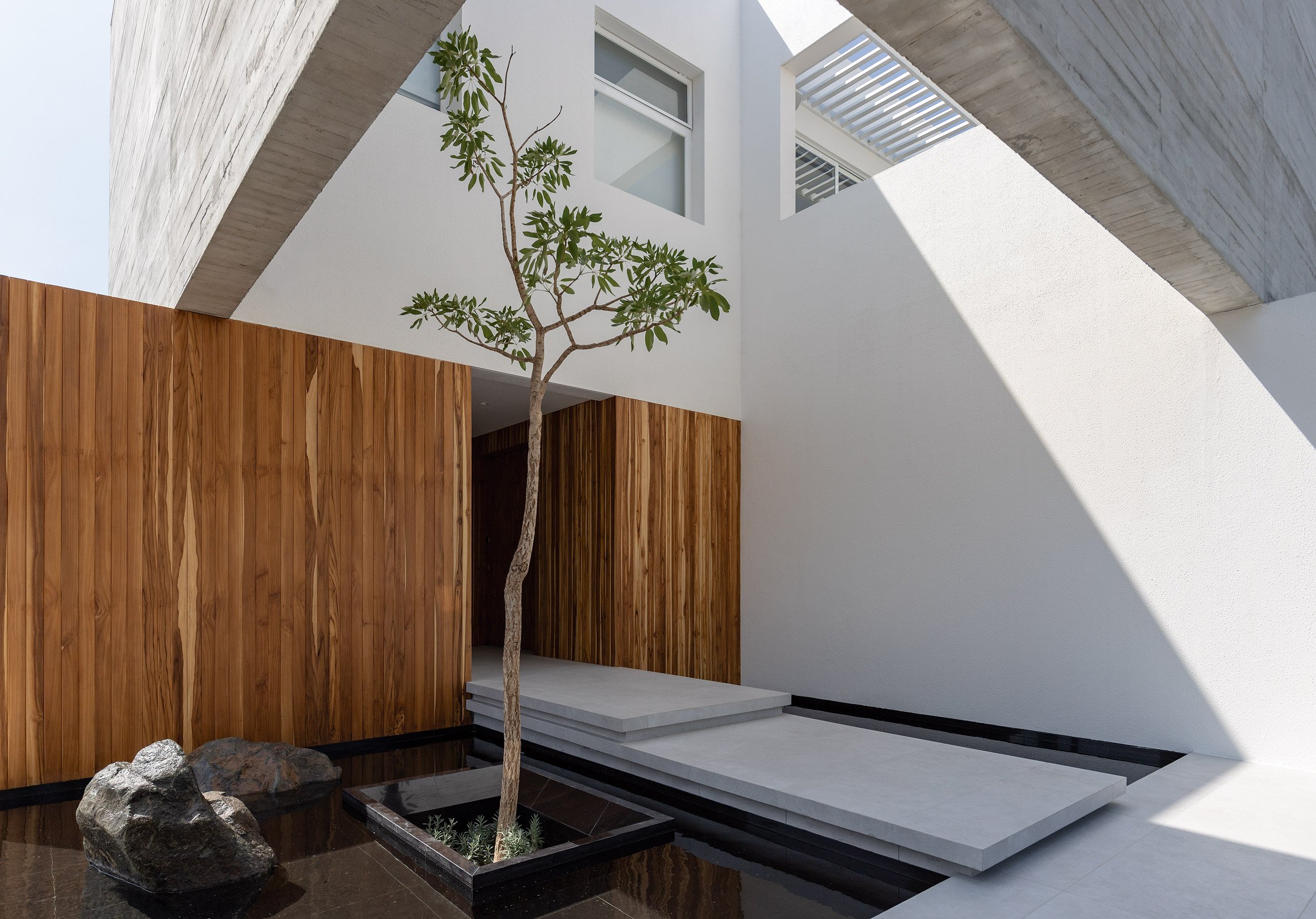 Pool and tree of house in Ecuador by Orense Arquitectos