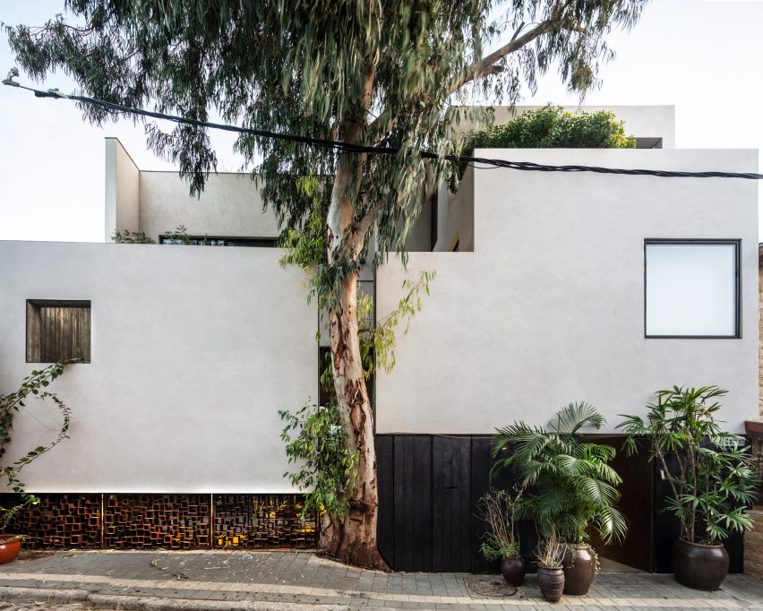 Tree in facade of Eucalyptus House by Paritzki & Liani Architects