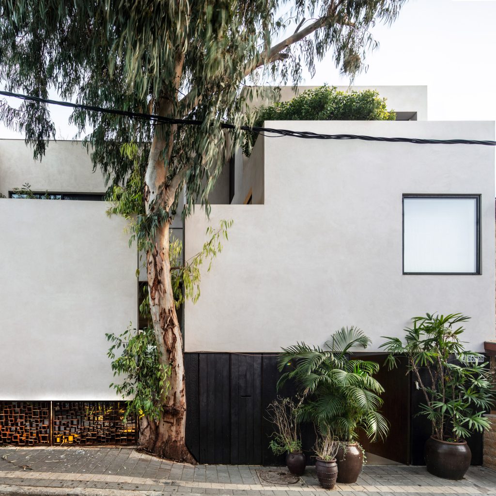 Tree slots into facade of Eucalyptus House by Paritzki & Liani Architects