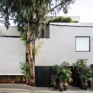 Eucalyptus tree slots into facade of Tel Aviv house by Paritzki & Liani Architects