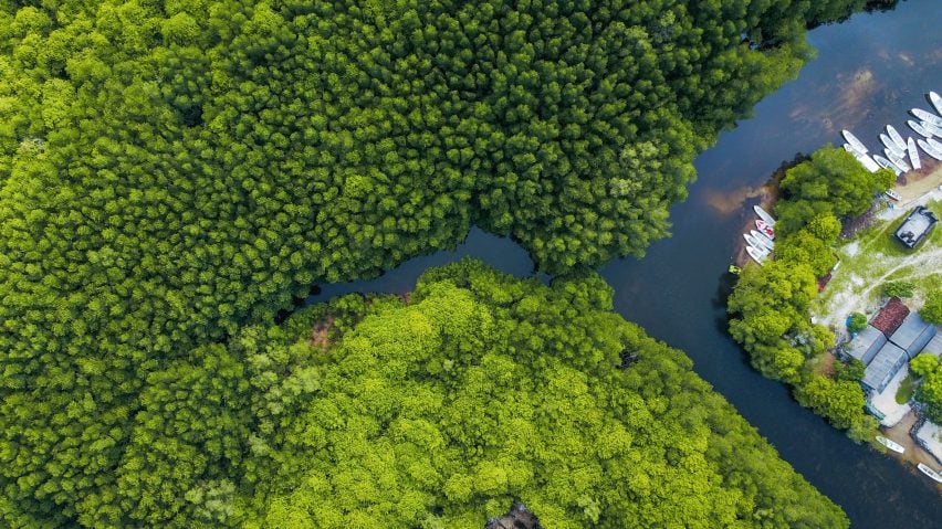 An aerial view of a tropical forest in Indonesia