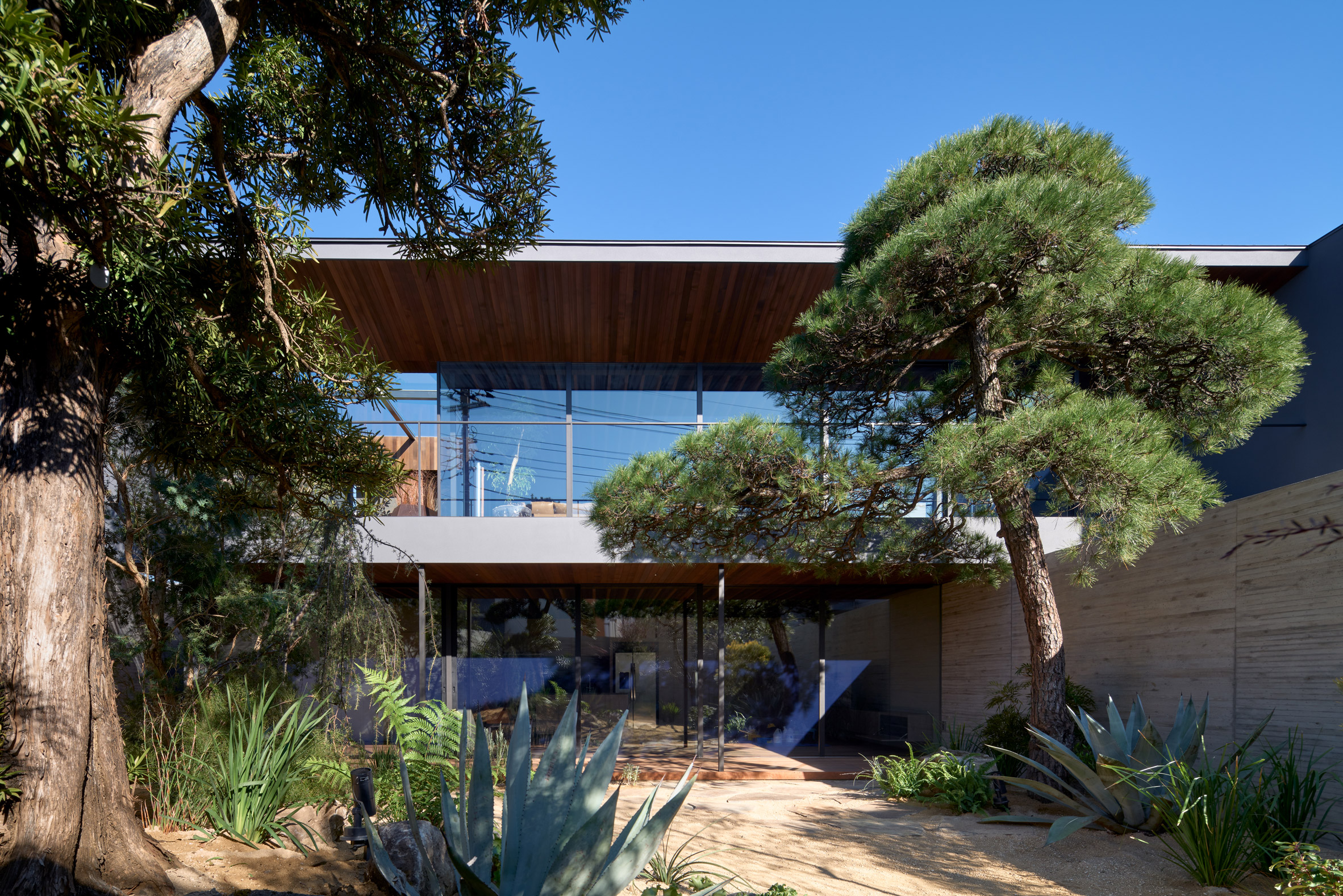 Glazed walls look into the garden by Apollo Architects & Associates