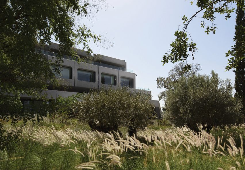 A concrete office in an olive field