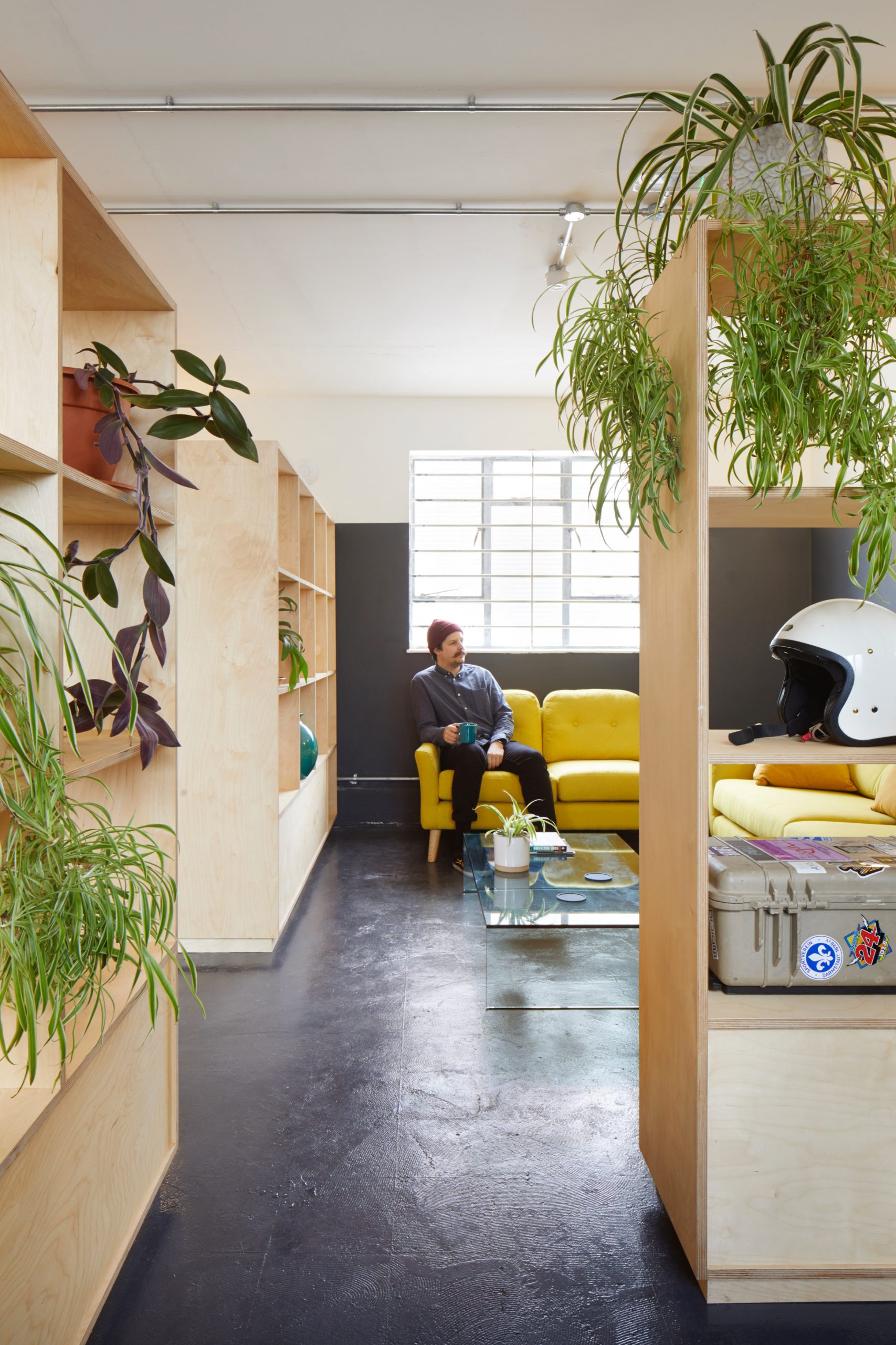 A studio lounge with plywood bookcases and plants