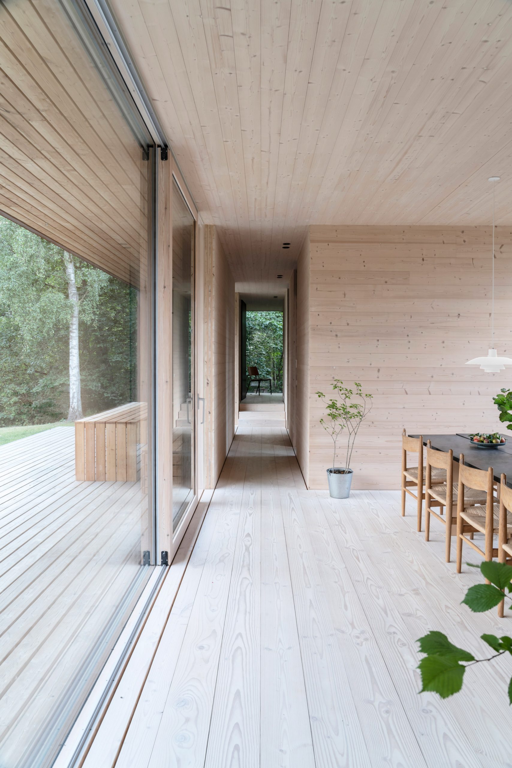 Timber-clad interior of CLT villa