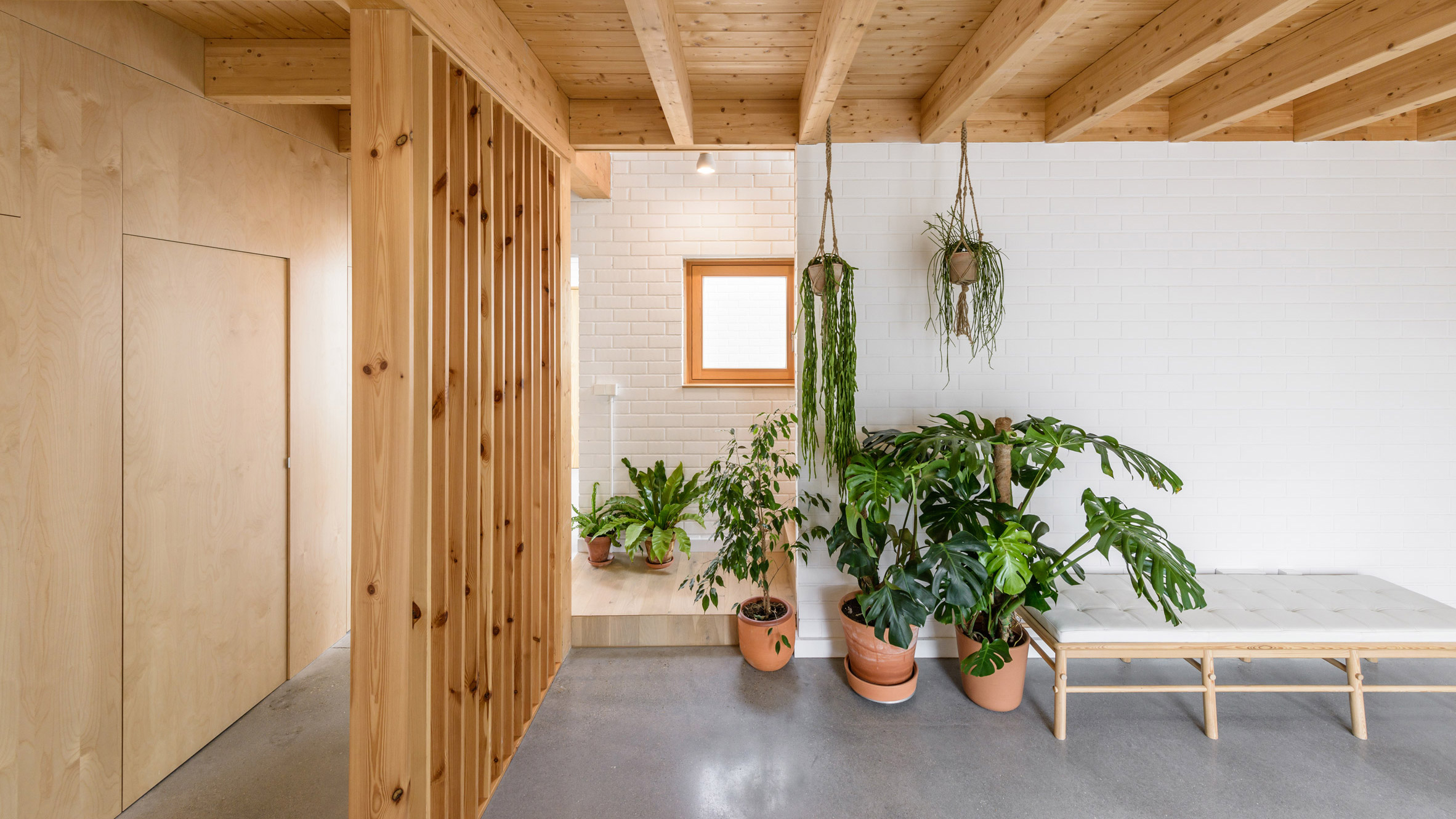 Domestic interiors with statement plants that bring nature indoors
