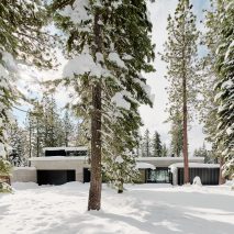 Faulkner Architects tucks Forest House into wooded site near Lake ...