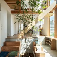 Ten homes where verdant indoor trees create calming interiors