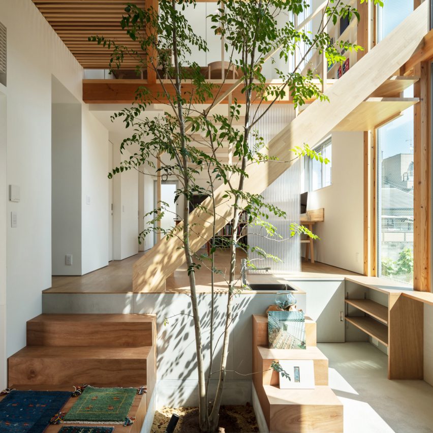 Indoor tree in a Japanese home