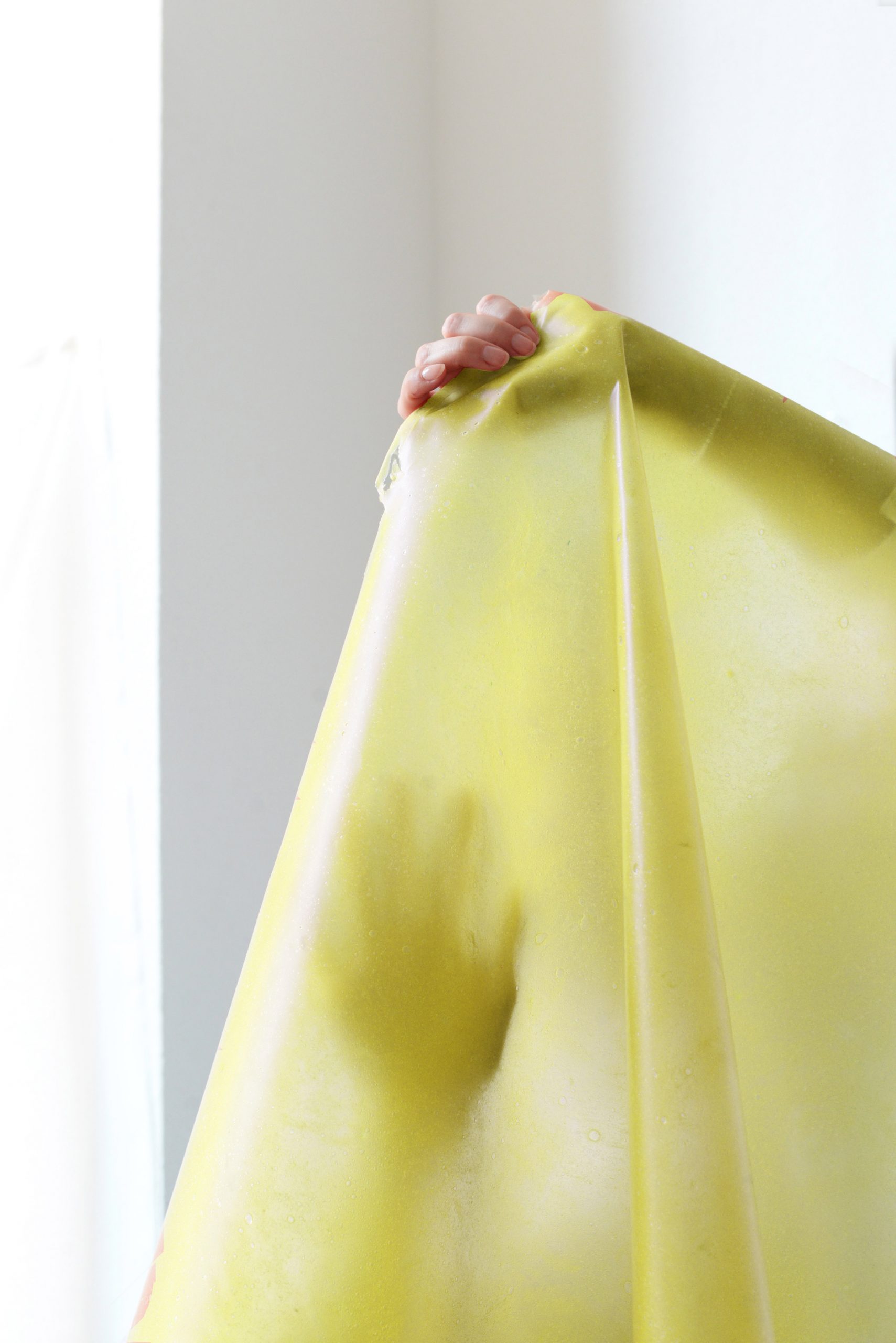 Yellow fruit leather developed by Lobke Beckfeld and Johanna Hehemeyer-Cürten