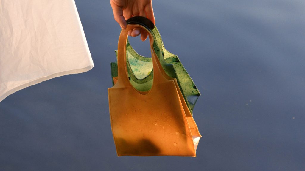 Creative Purse from waste water Bottles