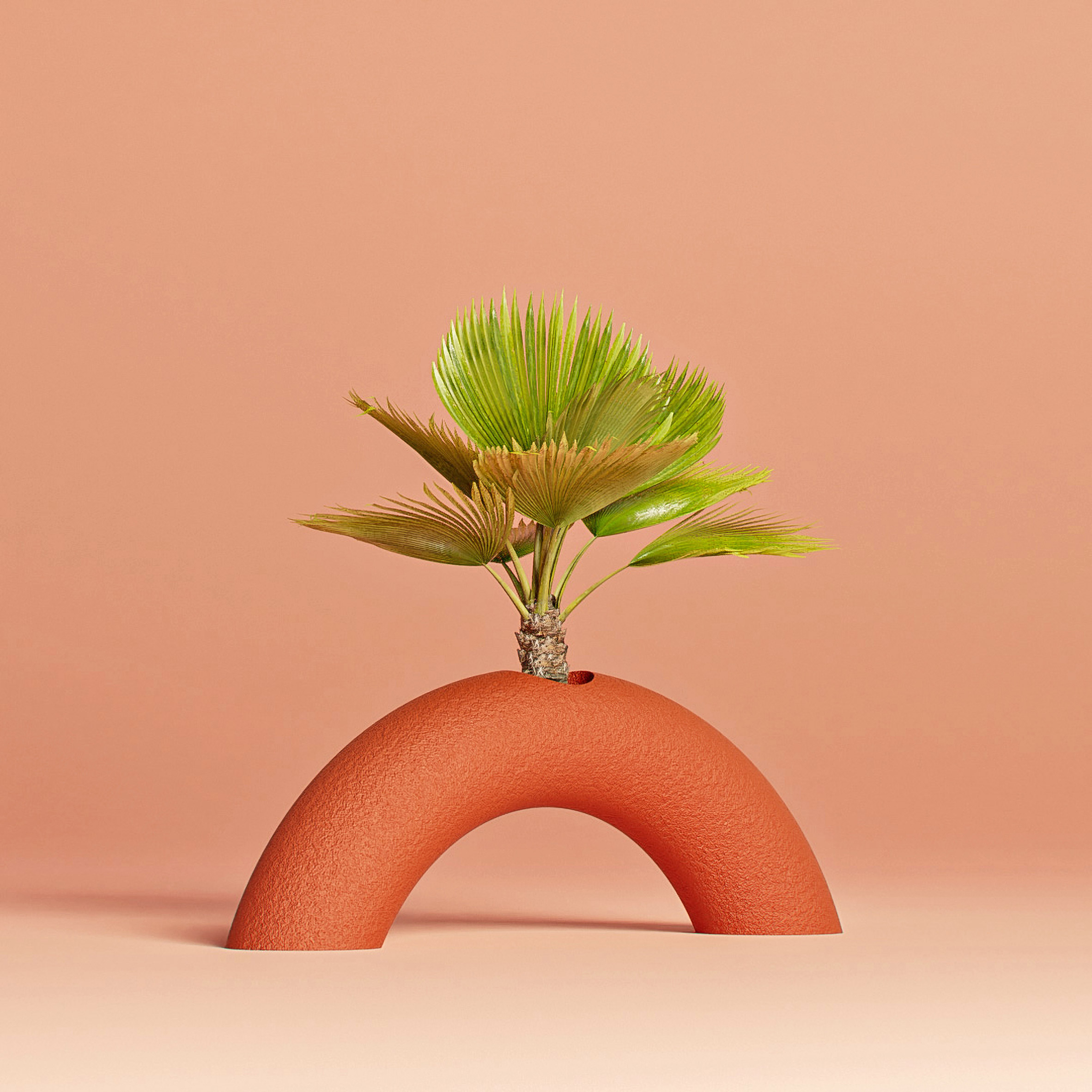 Plants protrude from the objects by Studio Hai