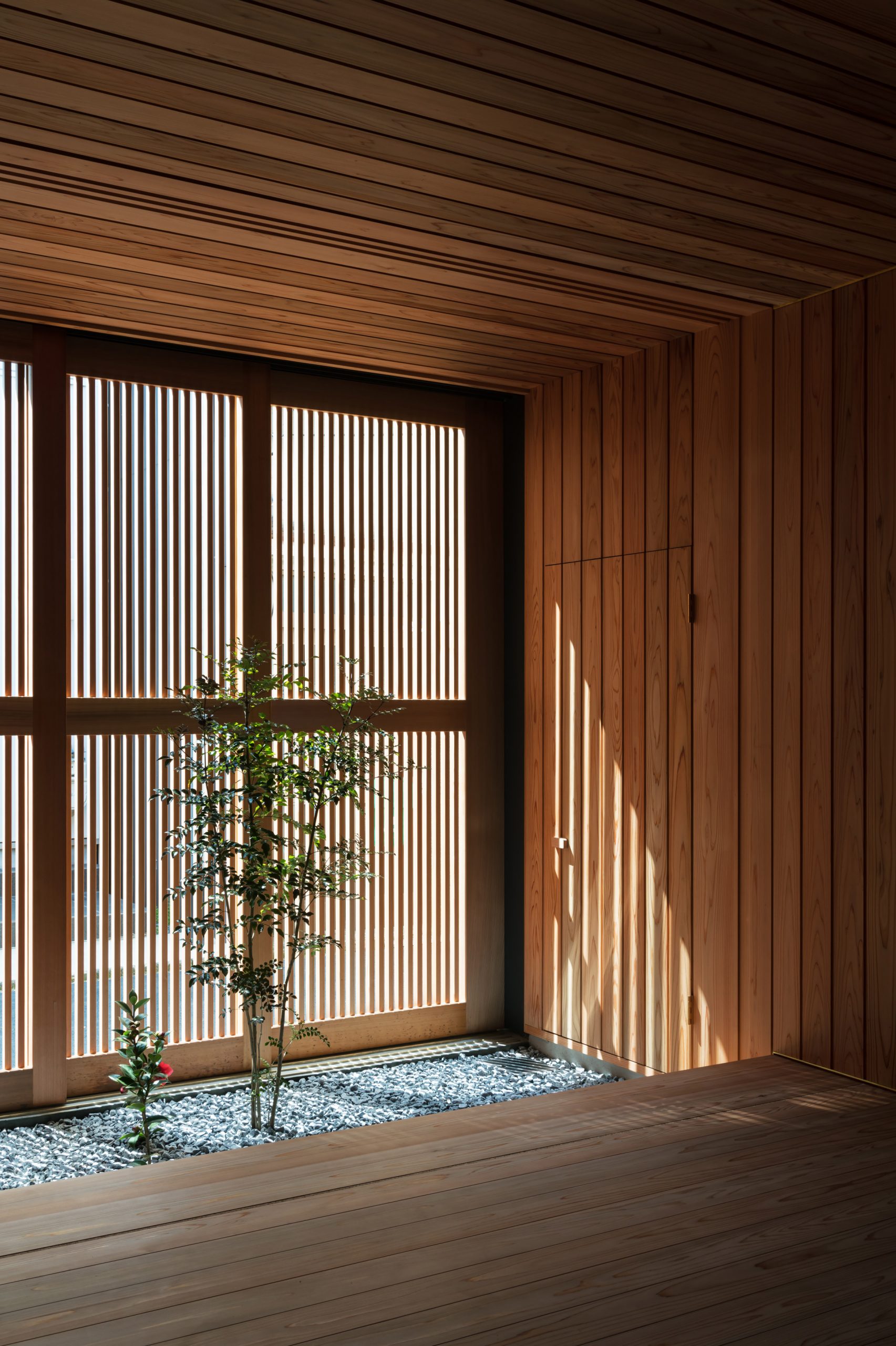 A cedar-lined living space