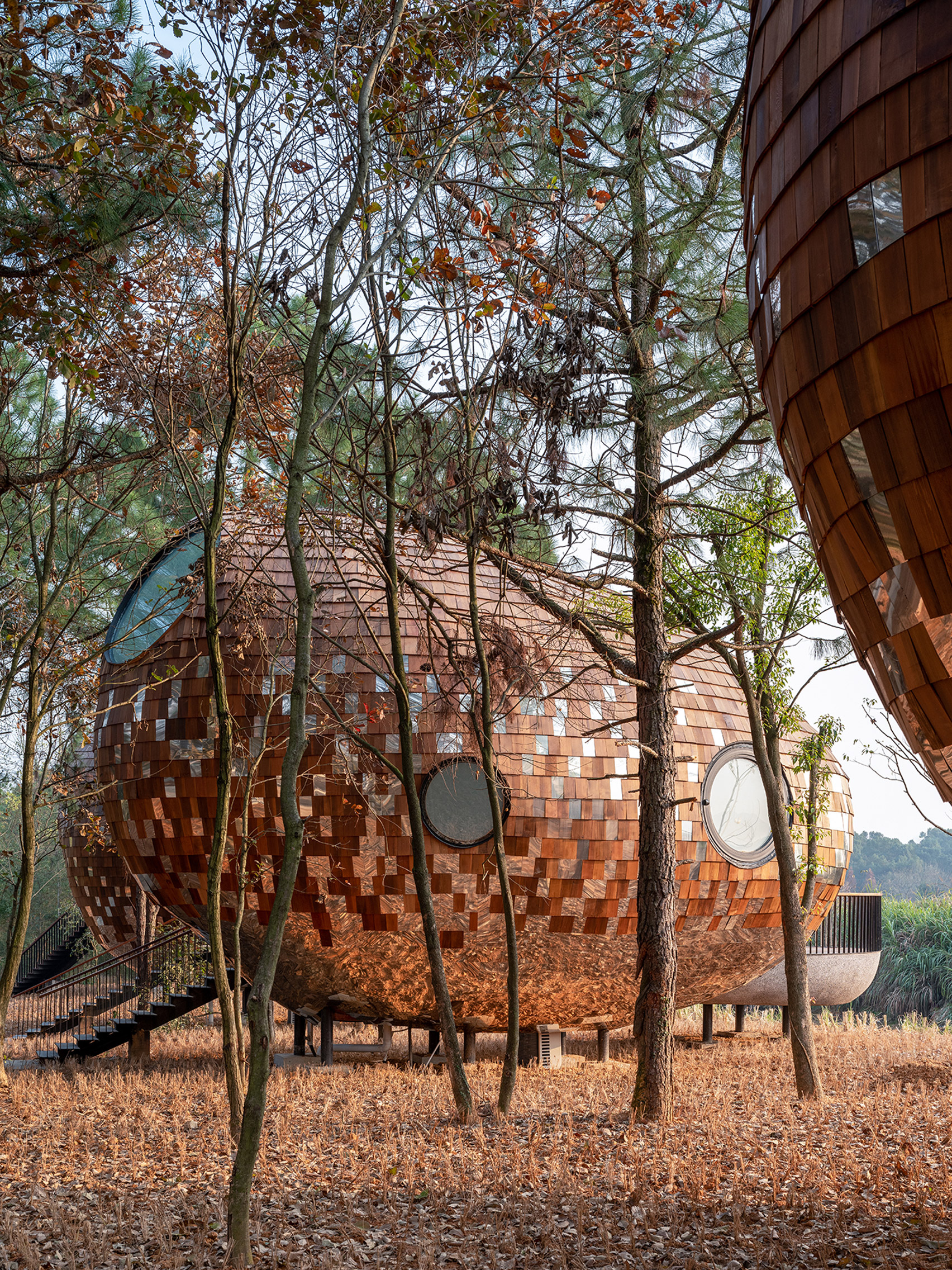An woodland cabin clad in shingles and mirrors