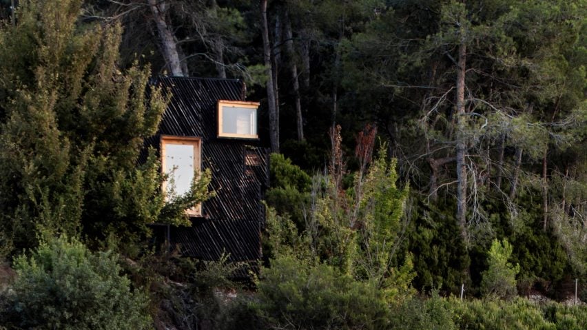 树林中的小木屋