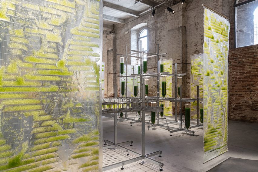 Bit Bio Bot exhibition by EcoLogicStudio at the Venice Architecture Biennale