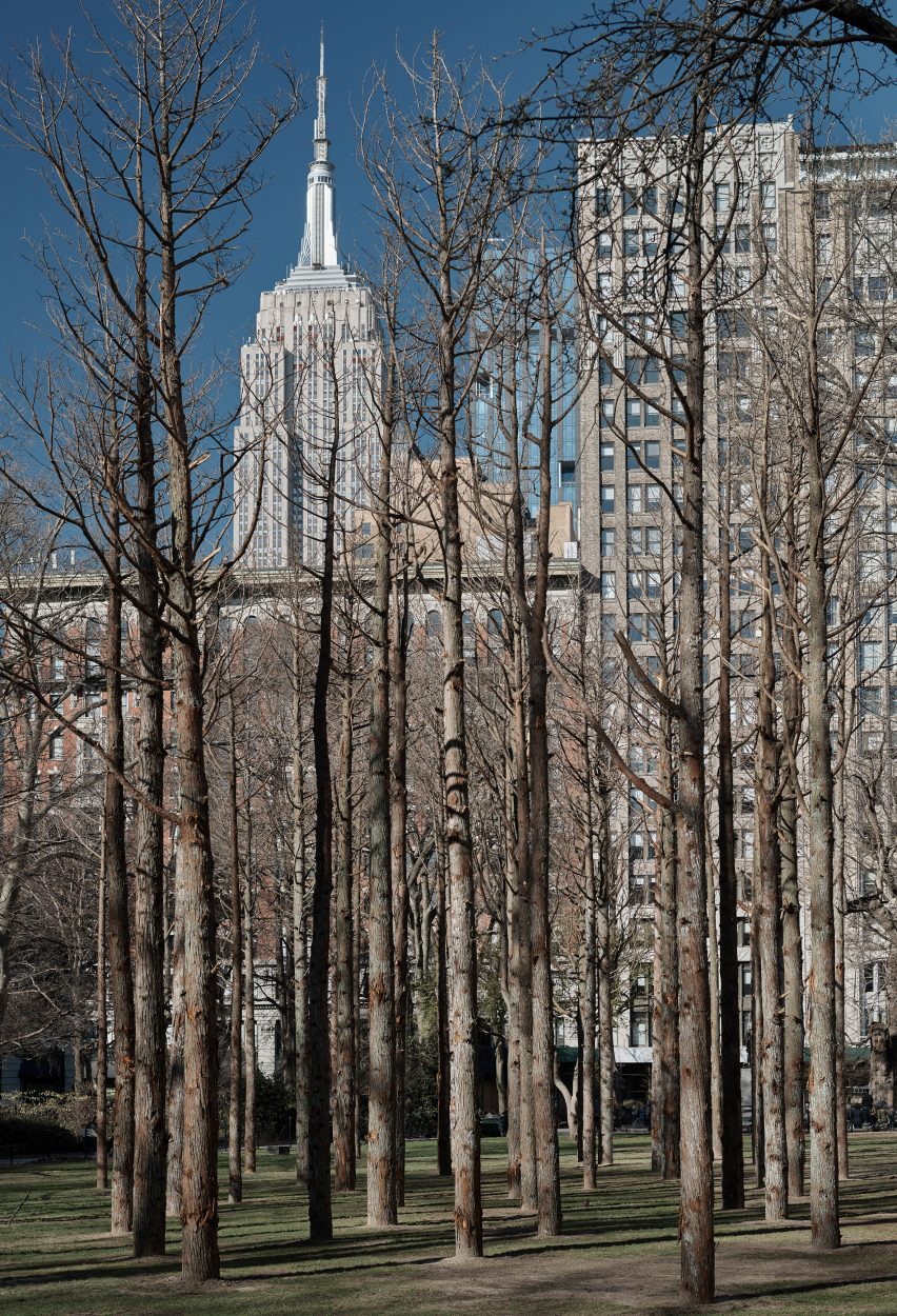 Maya Lin installed the project in Downtown Manhattan