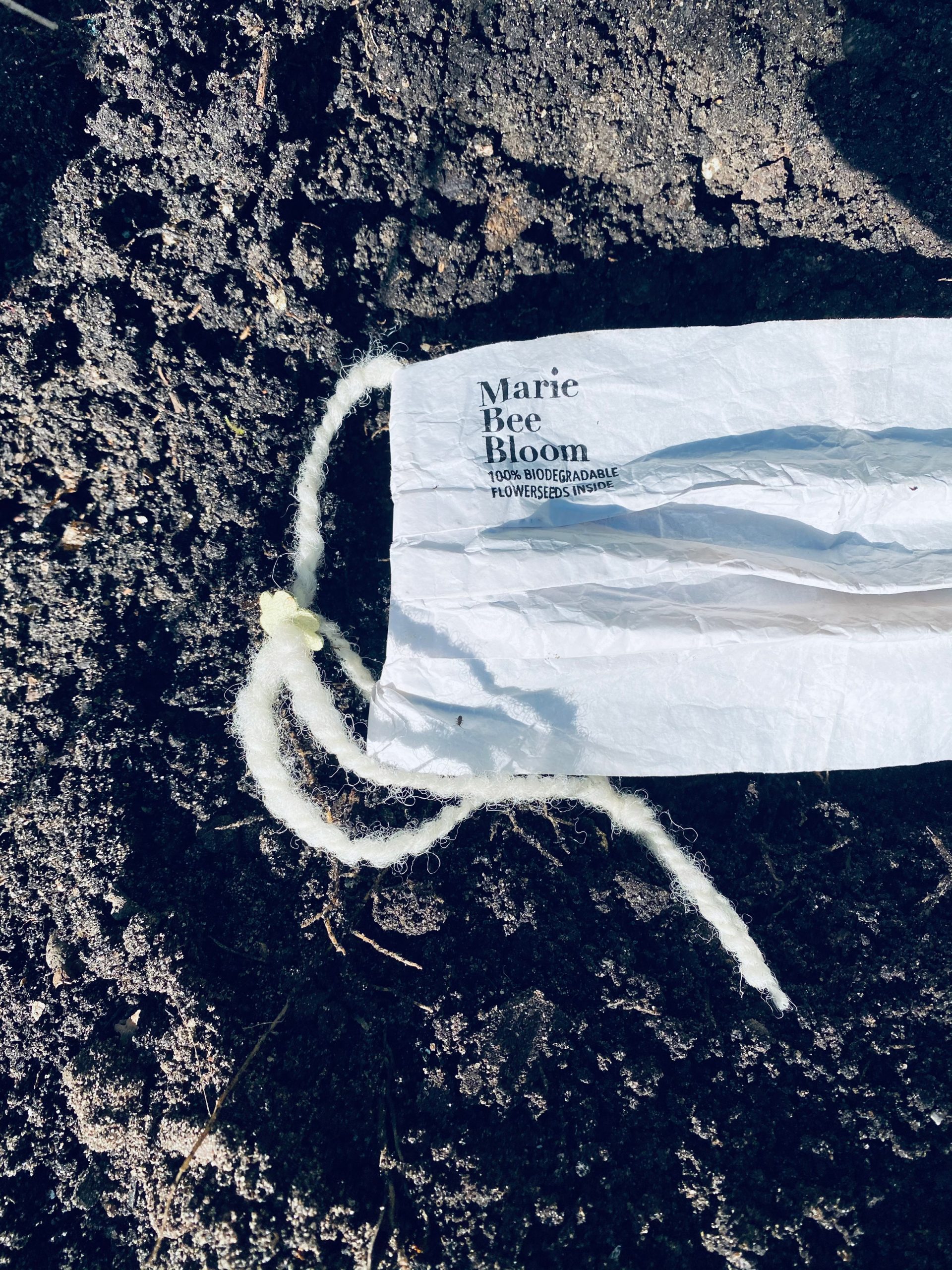 Biodegradable Marie Bee Bloom face mask in soil