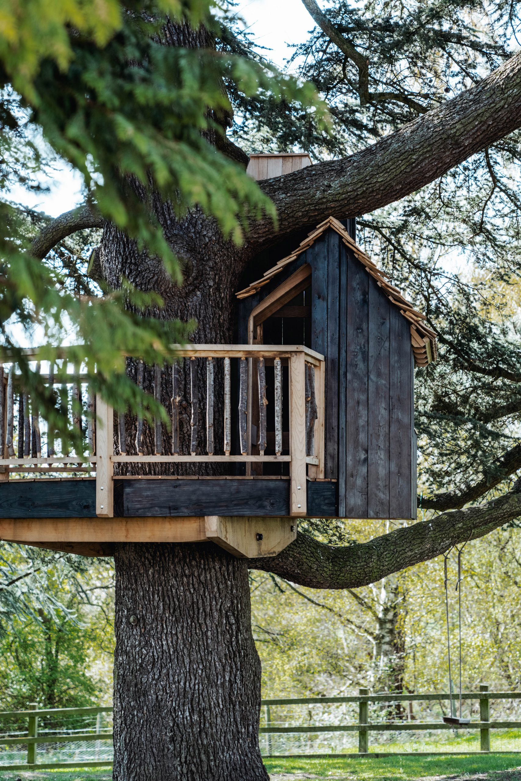 Cedar tree in the English countryside with a treehouse entrance