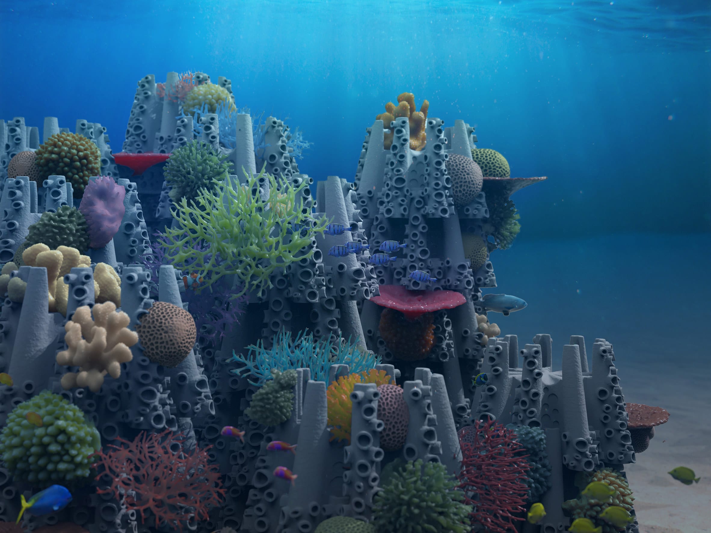 Real estate' for corals: Swiss organisation builds artificial reefs with  art, tech